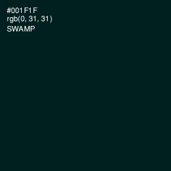 #001F1F - Swamp Color Image