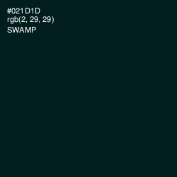 #021D1D - Swamp Color Image