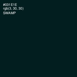 #031E1E - Swamp Color Image