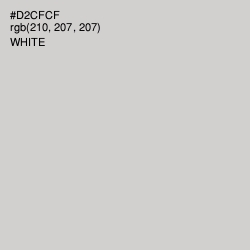 #D2CFCF - Swirl Color Image
