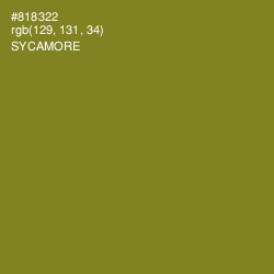 #818322 - Sycamore Color Image