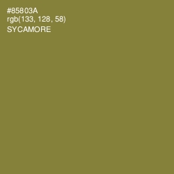 #85803A - Sycamore Color Image
