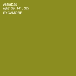 #8B8D20 - Sycamore Color Image