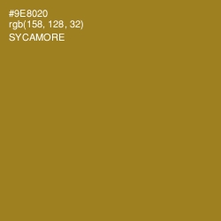 #9E8020 - Sycamore Color Image