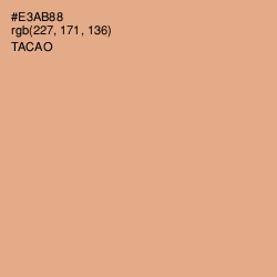 #E3AB88 - Tacao Color Image