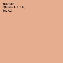 #E6AE8F - Tacao Color Image