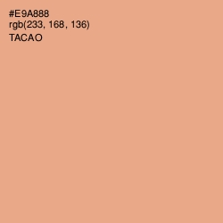 #E9A888 - Tacao Color Image
