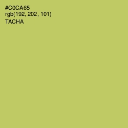 #C0CA65 - Tacha Color Image