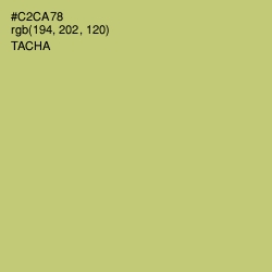 #C2CA78 - Tacha Color Image