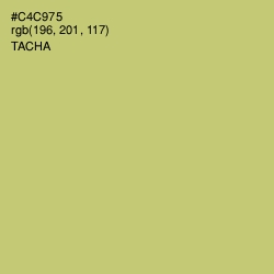 #C4C975 - Tacha Color Image