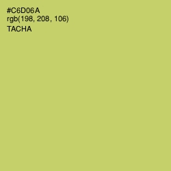 #C6D06A - Tacha Color Image