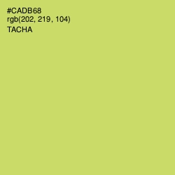 #CADB68 - Tacha Color Image