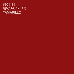 #901111 - Tamarillo Color Image