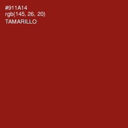 #911A14 - Tamarillo Color Image