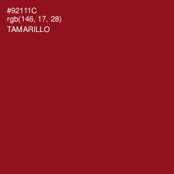 #92111C - Tamarillo Color Image