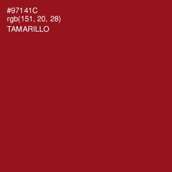 #97141C - Tamarillo Color Image