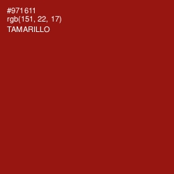 #971611 - Tamarillo Color Image