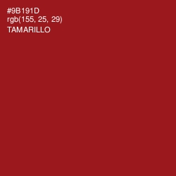 #9B191D - Tamarillo Color Image