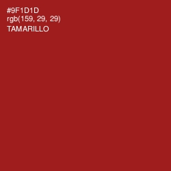 #9F1D1D - Tamarillo Color Image