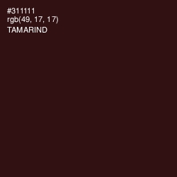 #311111 - Tamarind Color Image