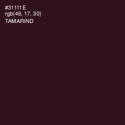 #31111E - Tamarind Color Image