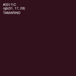 #33111C - Tamarind Color Image
