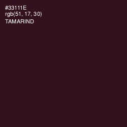 #33111E - Tamarind Color Image