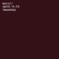 #341017 - Tamarind Color Image