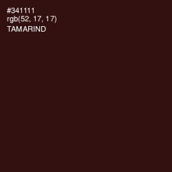 #341111 - Tamarind Color Image
