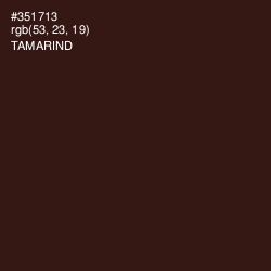 #351713 - Tamarind Color Image