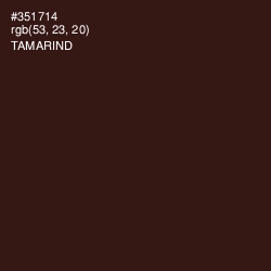 #351714 - Tamarind Color Image