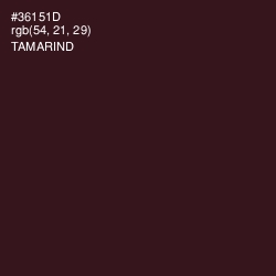 #36151D - Tamarind Color Image