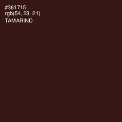 #361715 - Tamarind Color Image