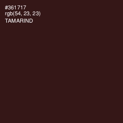 #361717 - Tamarind Color Image