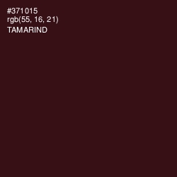 #371015 - Tamarind Color Image