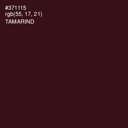 #371115 - Tamarind Color Image