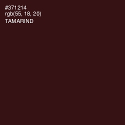 #371214 - Tamarind Color Image