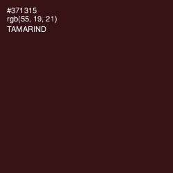 #371315 - Tamarind Color Image