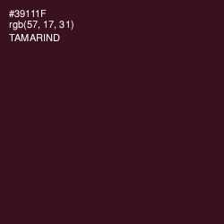 #39111F - Tamarind Color Image