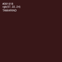 #391618 - Tamarind Color Image