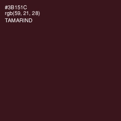 #3B151C - Tamarind Color Image