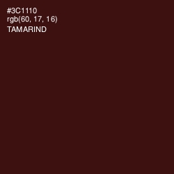 #3C1110 - Tamarind Color Image