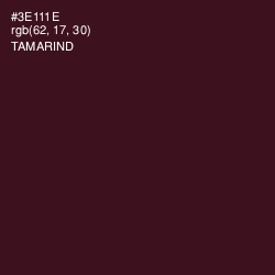 #3E111E - Tamarind Color Image