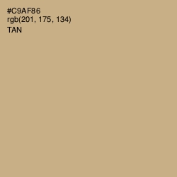#C9AF86 - Tan Color Image