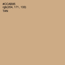 #CCAB85 - Tan Color Image