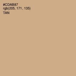 #CDAB87 - Tan Color Image