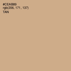 #CEAB89 - Tan Color Image