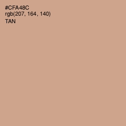 #CFA48C - Tan Color Image