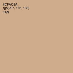 #CFAC8A - Tan Color Image
