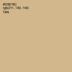 #D3B78C - Tan Color Image